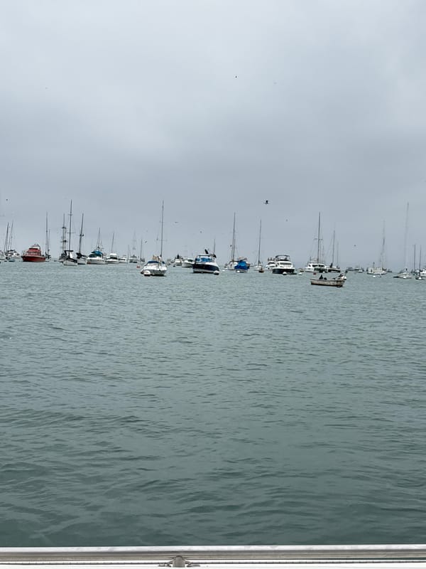 Cloudy afternoon at La Punta marina, boats and wildlife