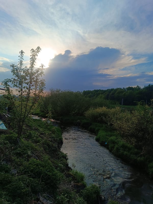 Rural life documented in Motyakovo: stream, house, dog