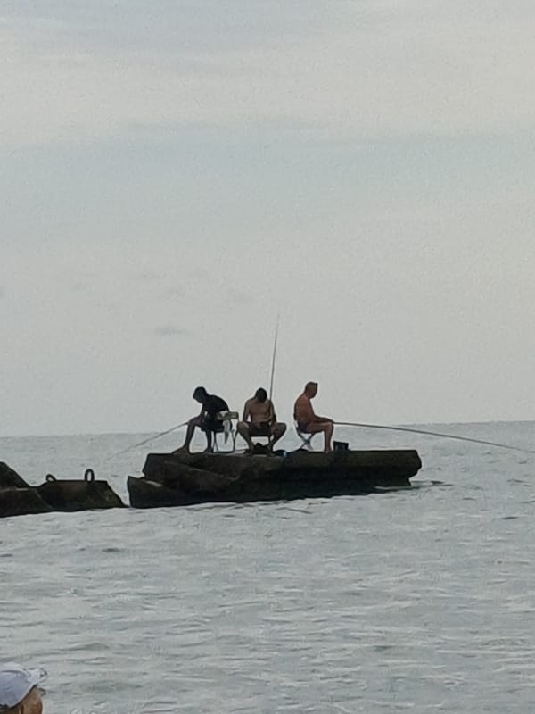 Sochi's Black Sea beach in full summer swing