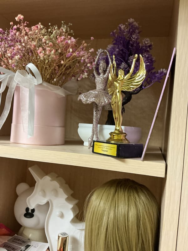 Residential interior documented with shelves, curtains, and decorative items