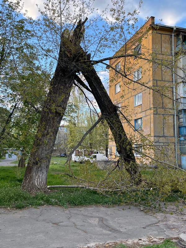Spring day in Kryvyi Rih shows pets, people, storm damage