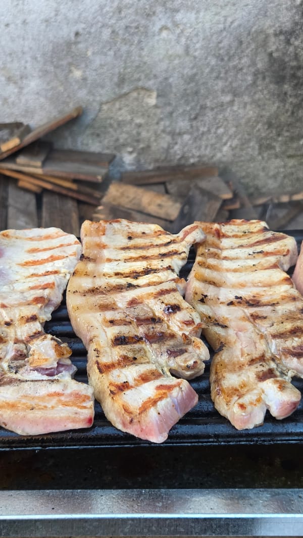 Outdoor grilling session captured in Bania, Bulgaria