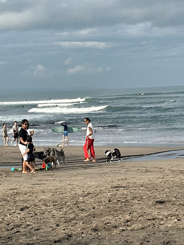 Dogs, families, and café vibes on a North Kuta beach morning