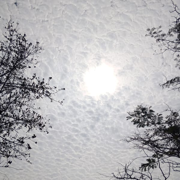 Witnesses document afternoon sky patterns and outdoor scenes