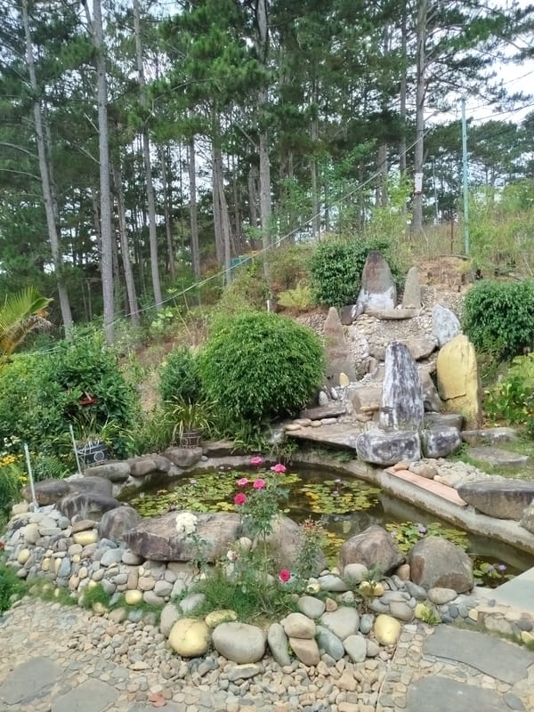 Morning scenes from Vietnamese highlands capture coffee farms, gardens