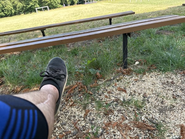 Resting in a Makiv park, leg injury visible, mid-summer day