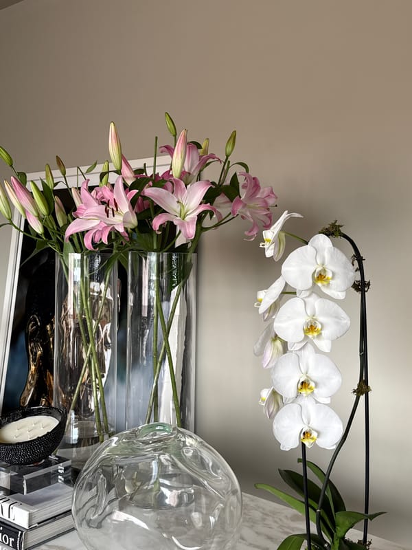 Domestic moments captured in Mexico City home interior