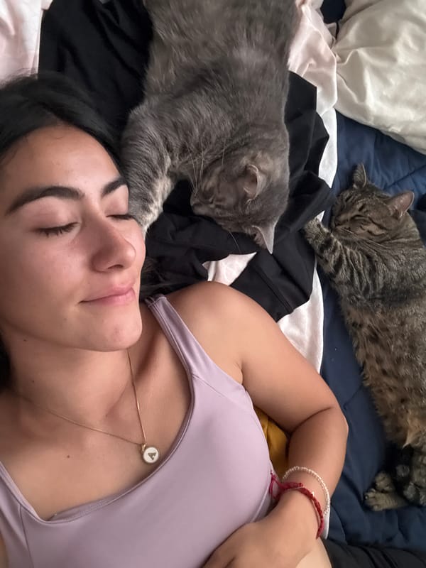 Woman rests peacefully with two cats on bed in Puebla