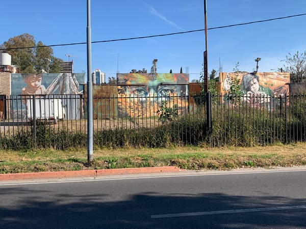 Street murals documented behind fence in Cordoba, Argentina