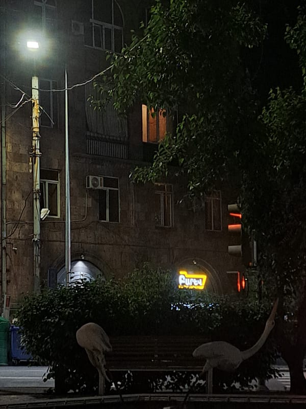 Evening dining experience documented at Yerevan restaurant