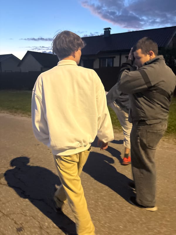 Evening walkers observed on residential streets during sunset hours