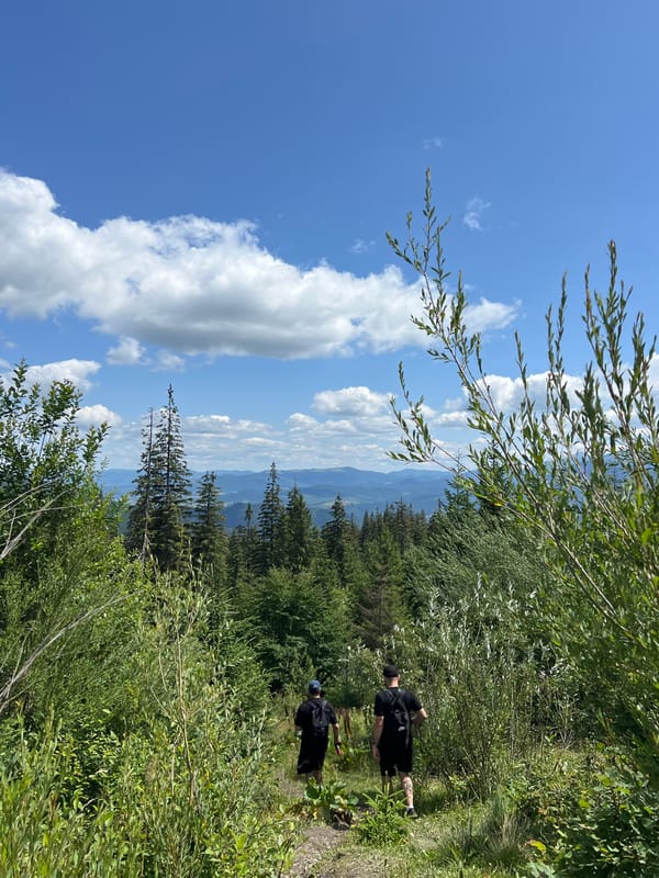 Hiking through forested mountain trails near Chorna Tysa, Ukraine