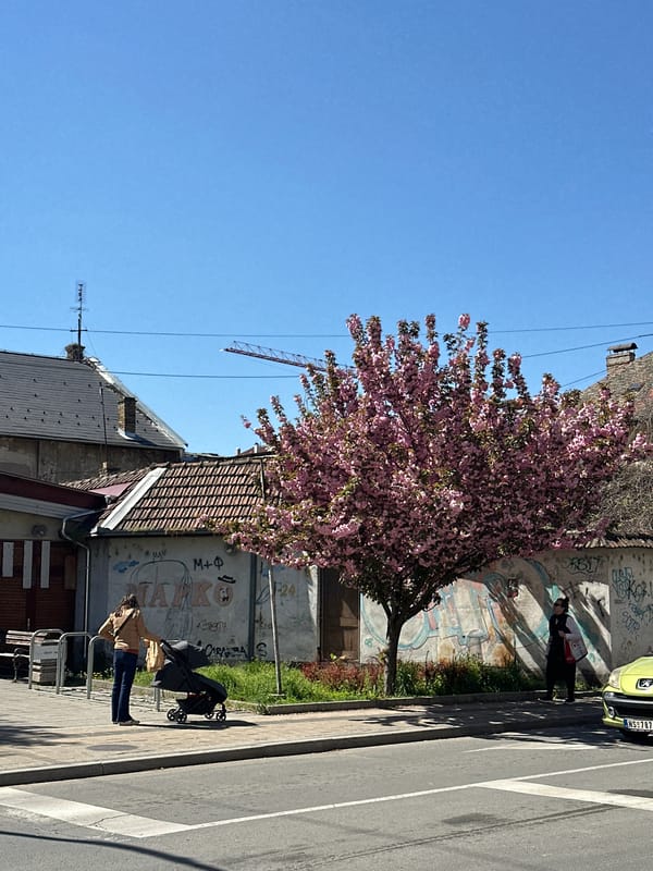 Woman documents spring morning routine in Novi Sad, Serbia