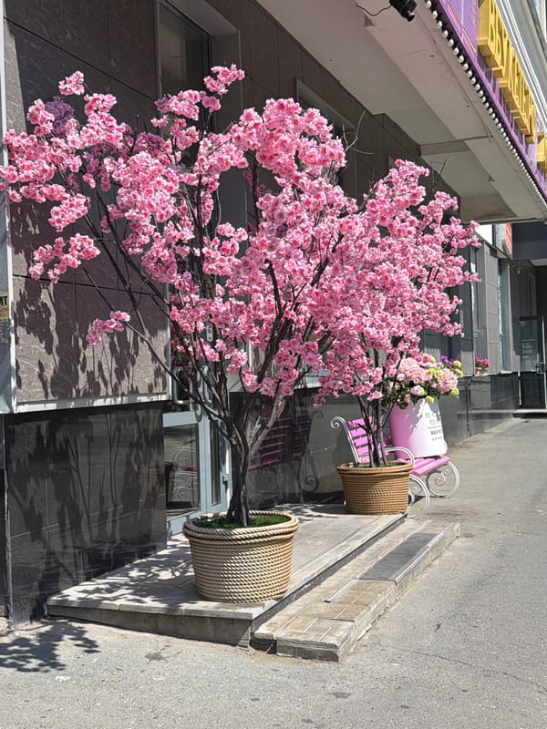 Pink-themed floral shop display in Yekaterinburg