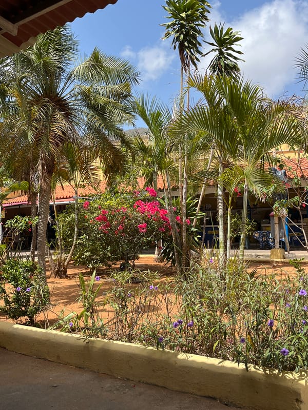 Casual afternoon documented in El Valle del Espíritu Santo