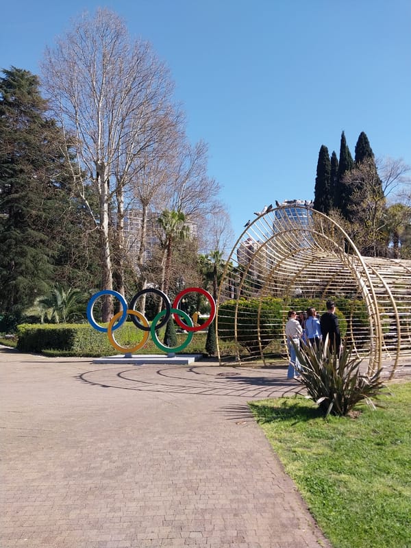 Sunny garden scene documented in Sochi, Russia