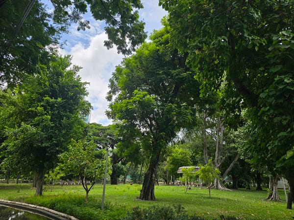 Monitor lizard and fish share a murky Bangkok park pond