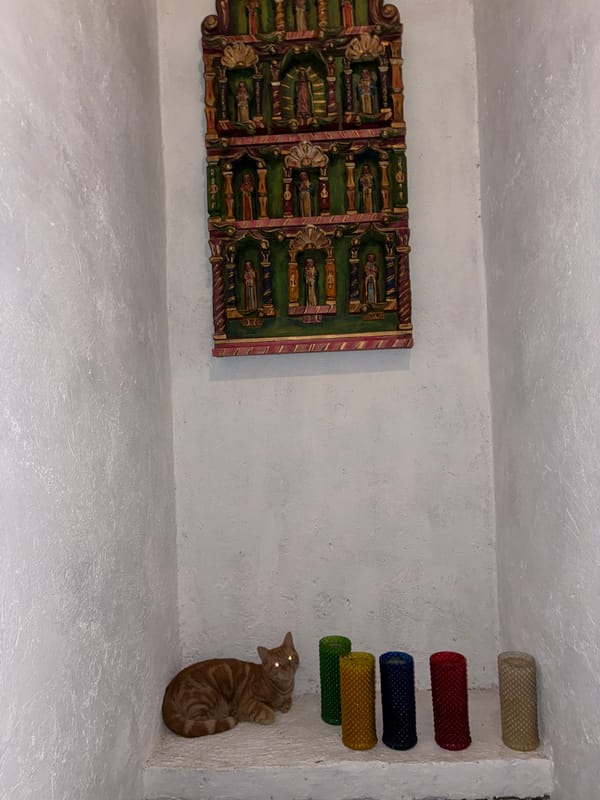Quiet domestic moments captured in Mexican home over morning hours