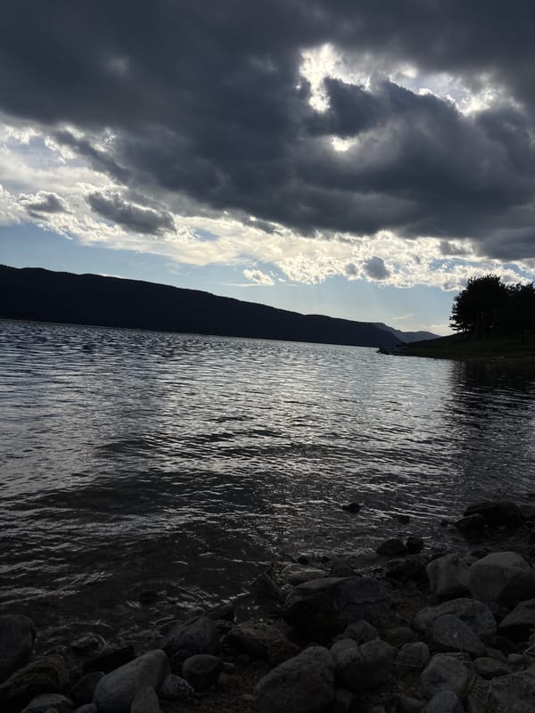 Witness documents four-hour lakeside nature photography session