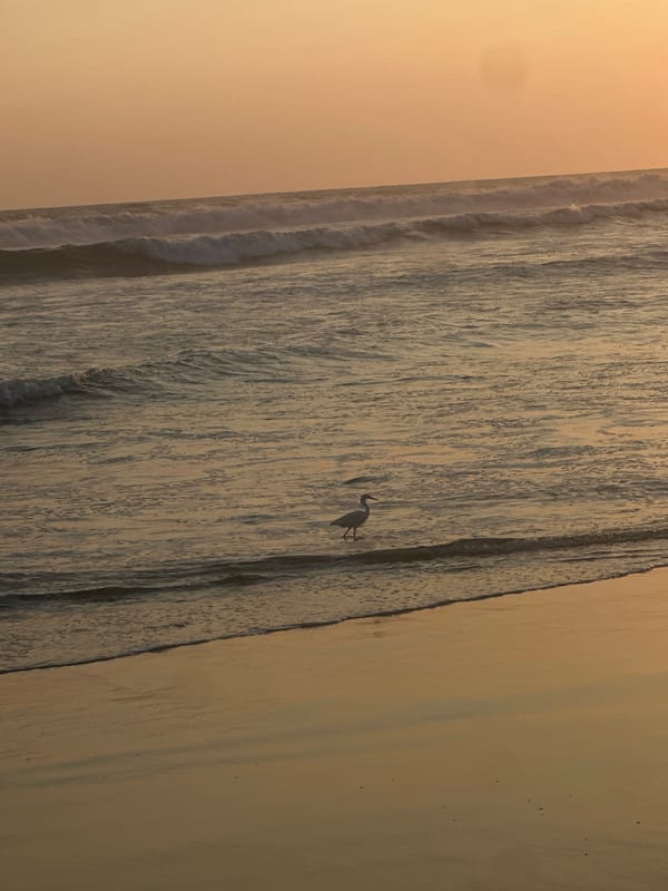 Woman takes sunset selfies on Acapulco beach