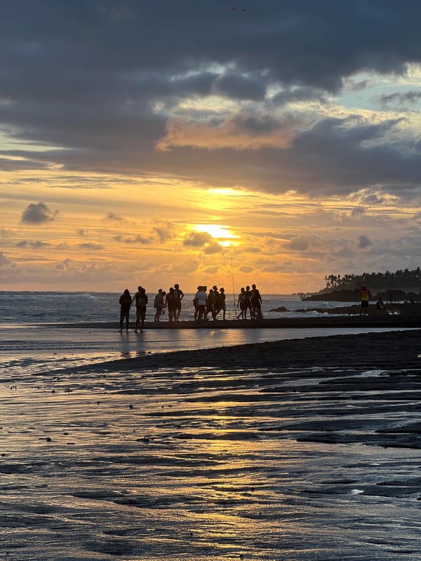 Sunset beach scenes with dogs and visitors captured in Mengwi