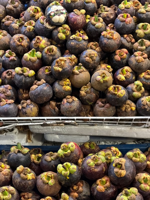 Tropical fruit vendor displays abundant mangoes, mangosteens in Thailand