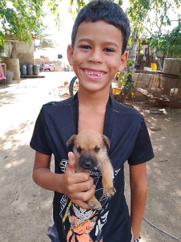 Everyday moments captured in Altagracia: boy with puppy, dove encounter