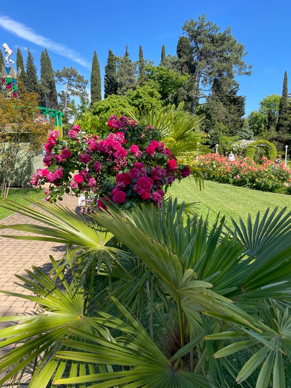 Tourist explores Sochi amusement park and gardens on sunny afternoon