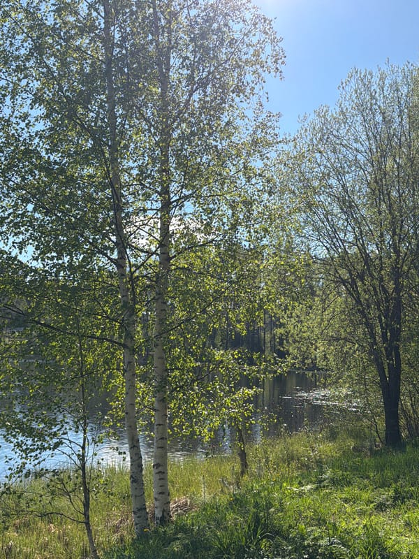 Lakeside afternoon documented near Vaskelovo, Russia with selfies and scenery