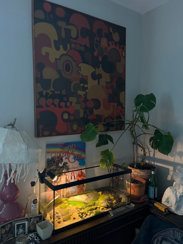Inside a cluttered Brooklyn apartment, out to the street corner