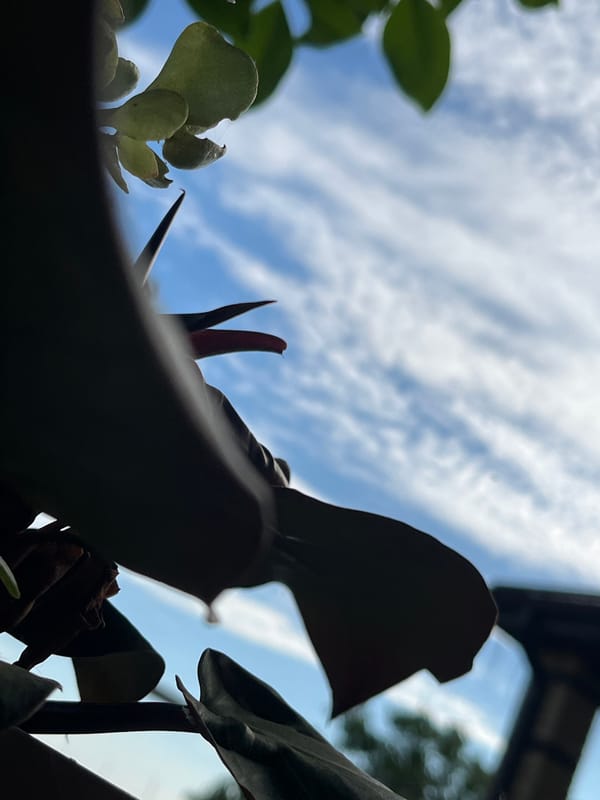 Garden and nature photography session in Krasnyye Barrikady