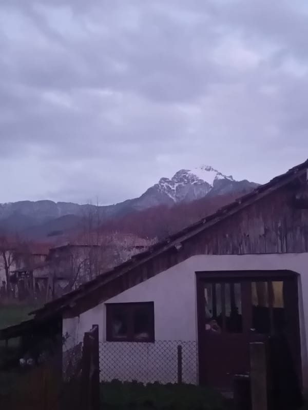 Rural mountain scene with cat documented by witness