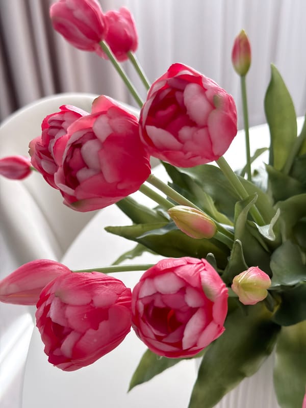 Witness documents indoor flowering plants in detailed botanical photography session