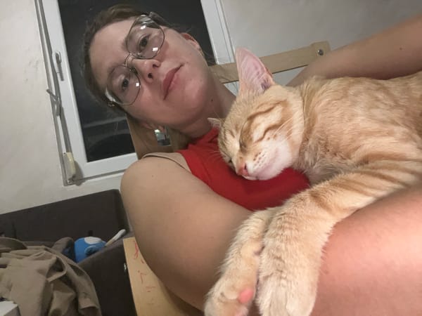 Woman holds sleeping orange cat in Podgorica
