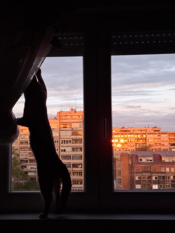 Novi Sad residents document sunset to nighttime city views