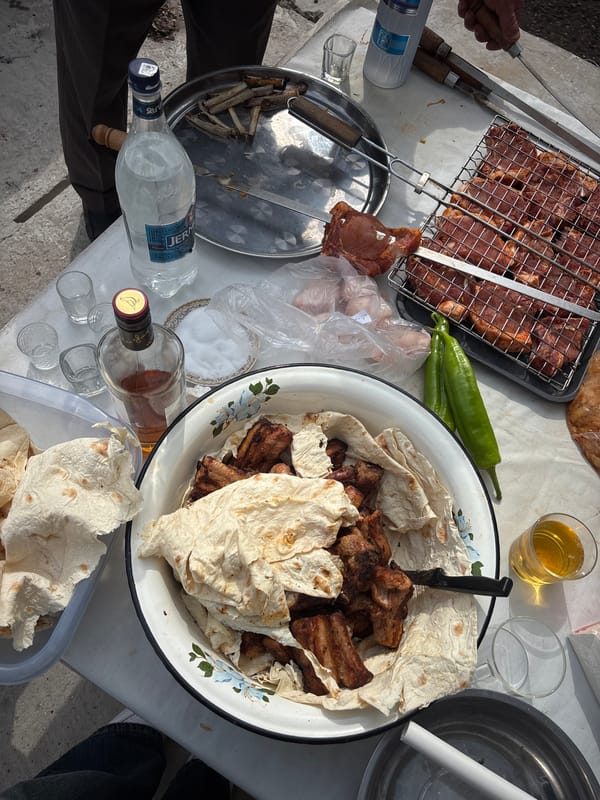 Outdoor barbecue gathering with architectural work in Abovyan, Armenia