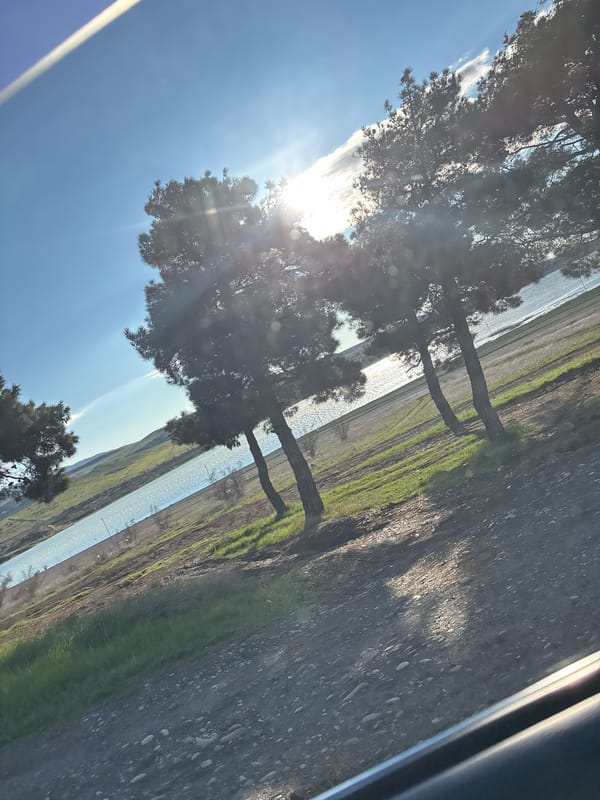 Roadside water view photographed from vehicle in Tbilisi