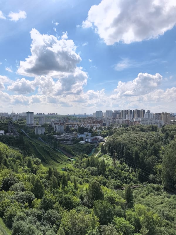 Perm morning: forest skyline views and a chocolate cake