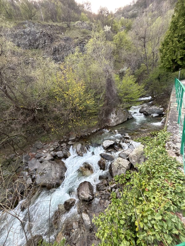 Spring afternoon scenes captured in Karlovo park, Bulgaria
