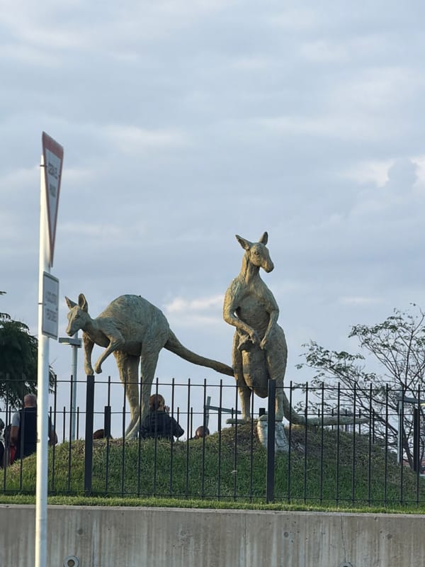 Kangaroo sculptures displayed as public art installation in Buenos Aires