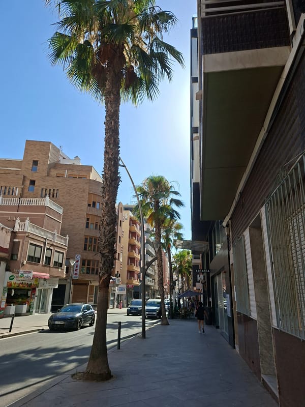 Street-level stroll through sunny Torrevieja, plants and architecture