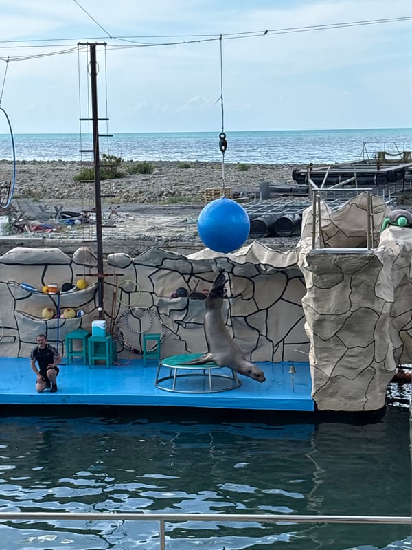 Marine animal show draws crowds at coastal venue