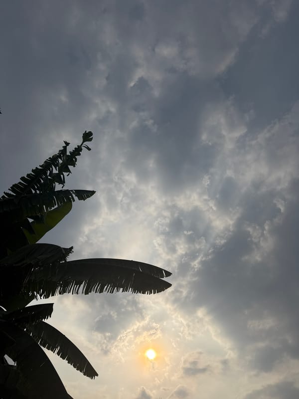 Quiet evening moments captured in Xochitepec, Mexico