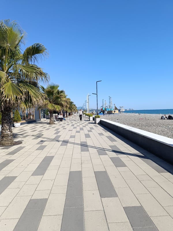 Witness documents coastal city walk, beach wildlife, urban scenes