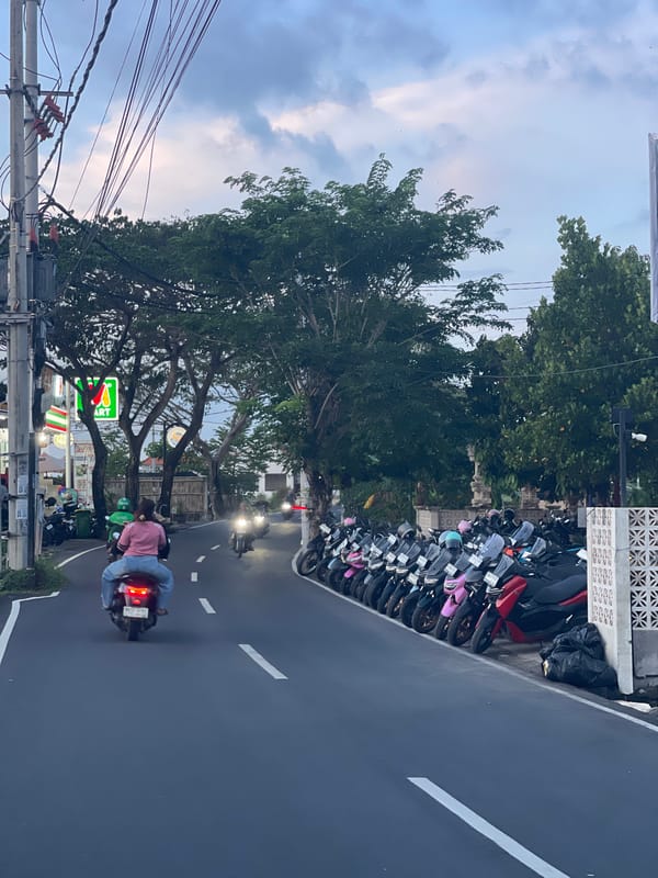 Routine street life documented across Mengwi, Indonesia