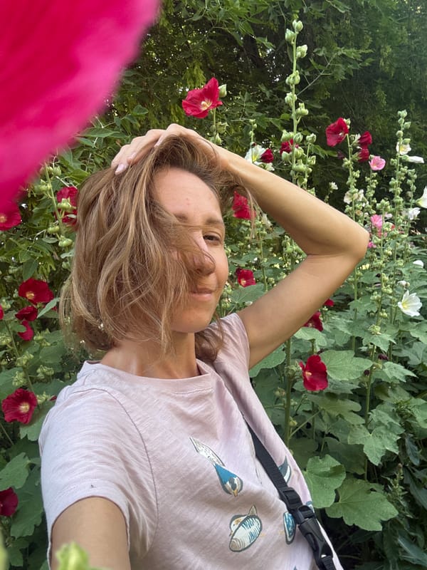 Summer morning in a Novosibirsk courtyard, flowers and Soviet blocks