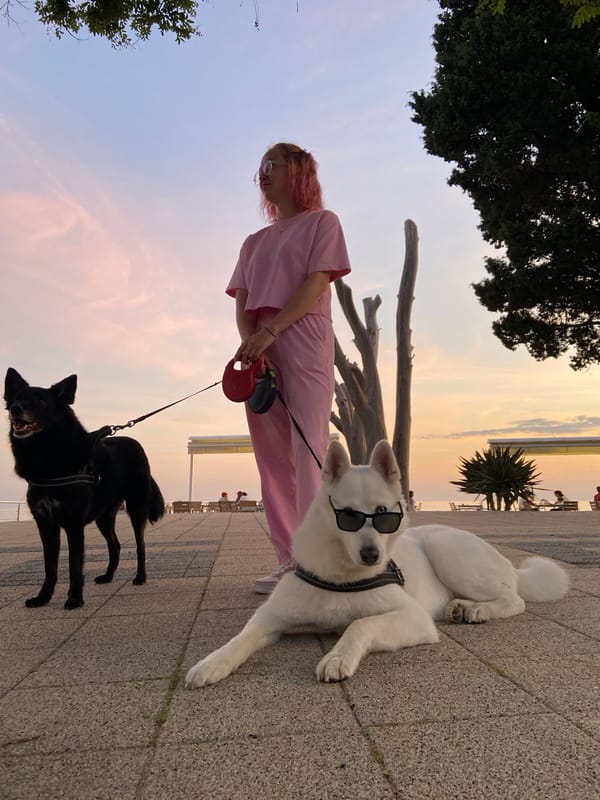 Woman walks dog near driftwood sculptures on Montenegro coast