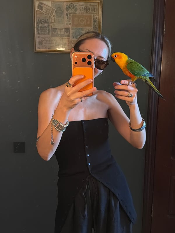 Morning routine documented in Khimki apartment with dog and breakfast