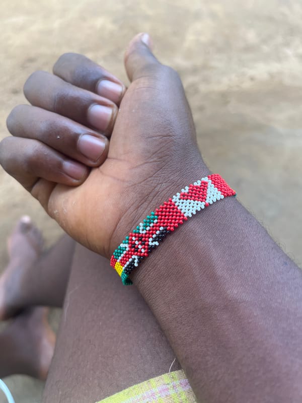 Playful dog and traditional beaded bracelet captured in Nigeria
