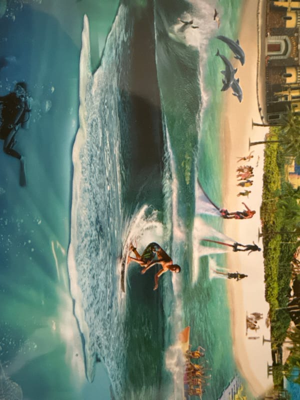Morning witness captures diverse scenes from ocean to forest to home